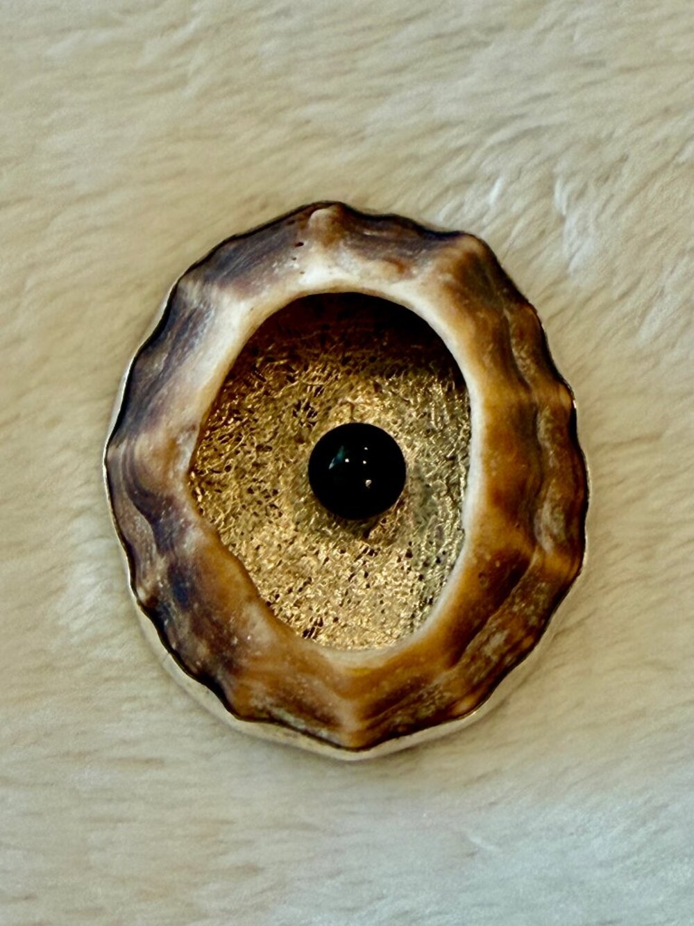 Seashell Pendant/Brooch